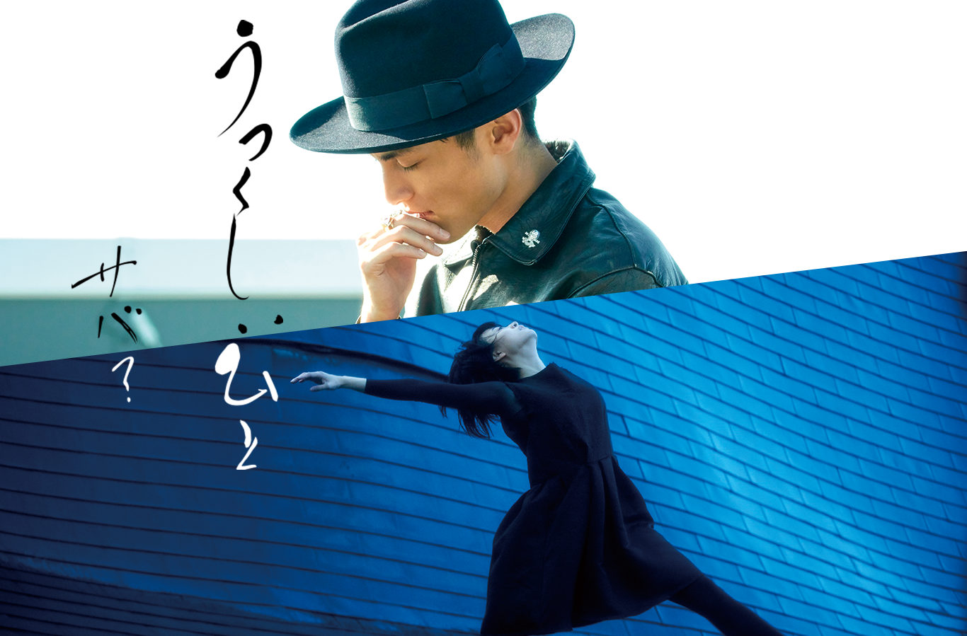 美しいひと サバ？